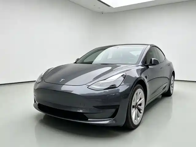 Tesla Model 3 2021 Facelift Standard Range RWD Upgrade 3D1