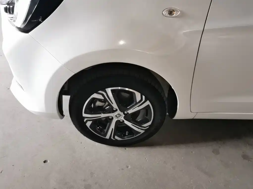 Changan Benben E-Star 2022 2020 Heartbeat Edition (NMC Battery)