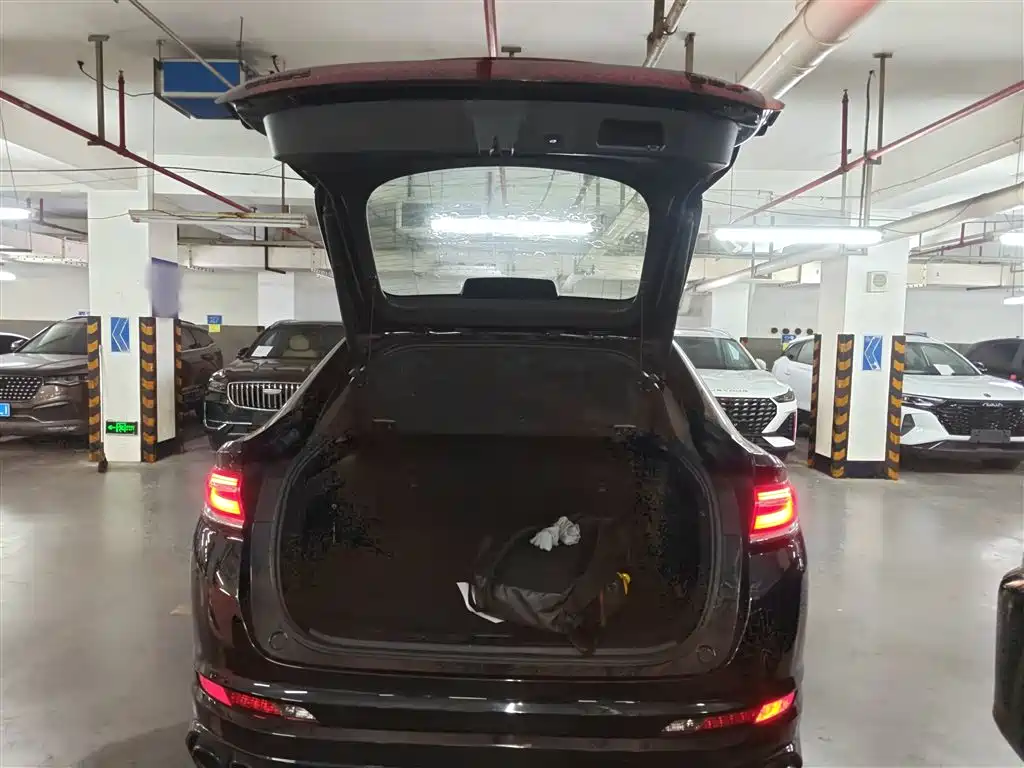 Geely Xingyue S 2022 2021 2.0TD DCT Two-Wheel Drive Lightning Edition
