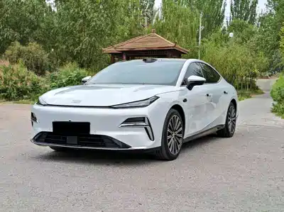 Geely Galaxy Starshine 8