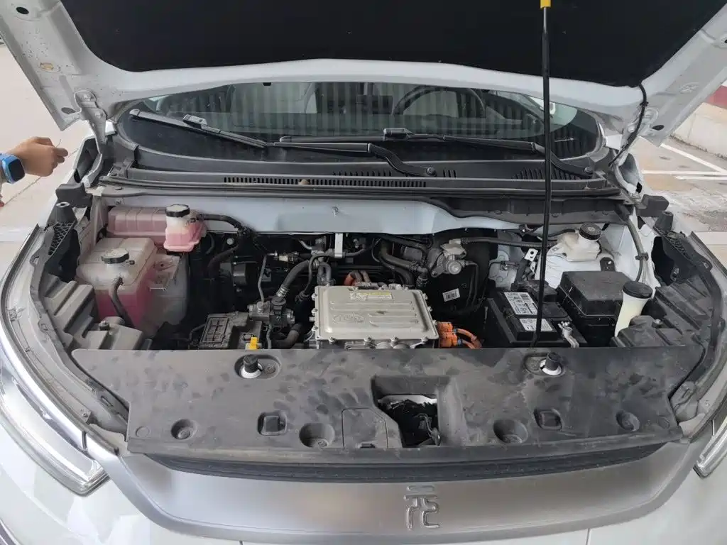 BYD Yuan Pro 2021 2021 401KM Luxury Model