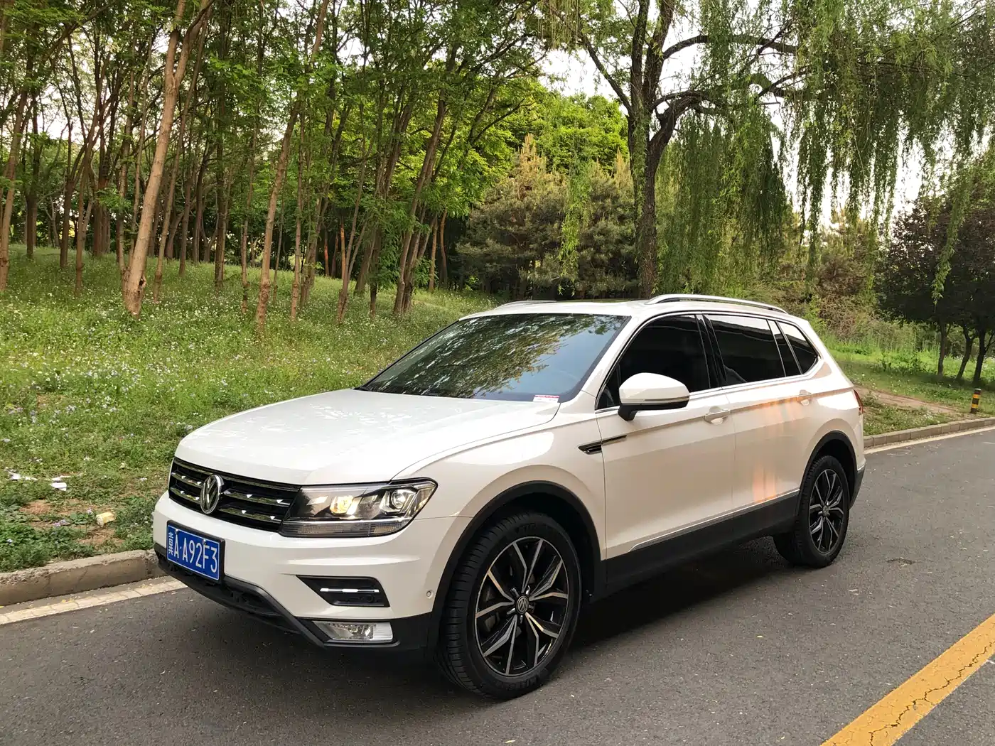 Volkswagen Tiguan L 2020 330TSI Auto 2WD Smart Luxury China VI