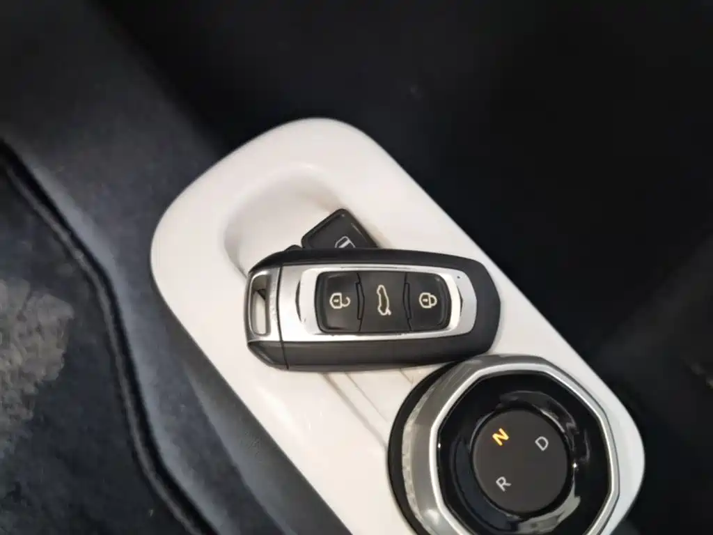 Geely Galaxy Panda 2025 Panda mini 210km Vitality Bear фото 9