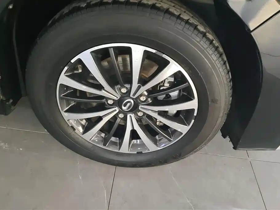 GAC Trumpchi Trumpchi M8 2023 Leading Series 390T Premium Edition фото 6