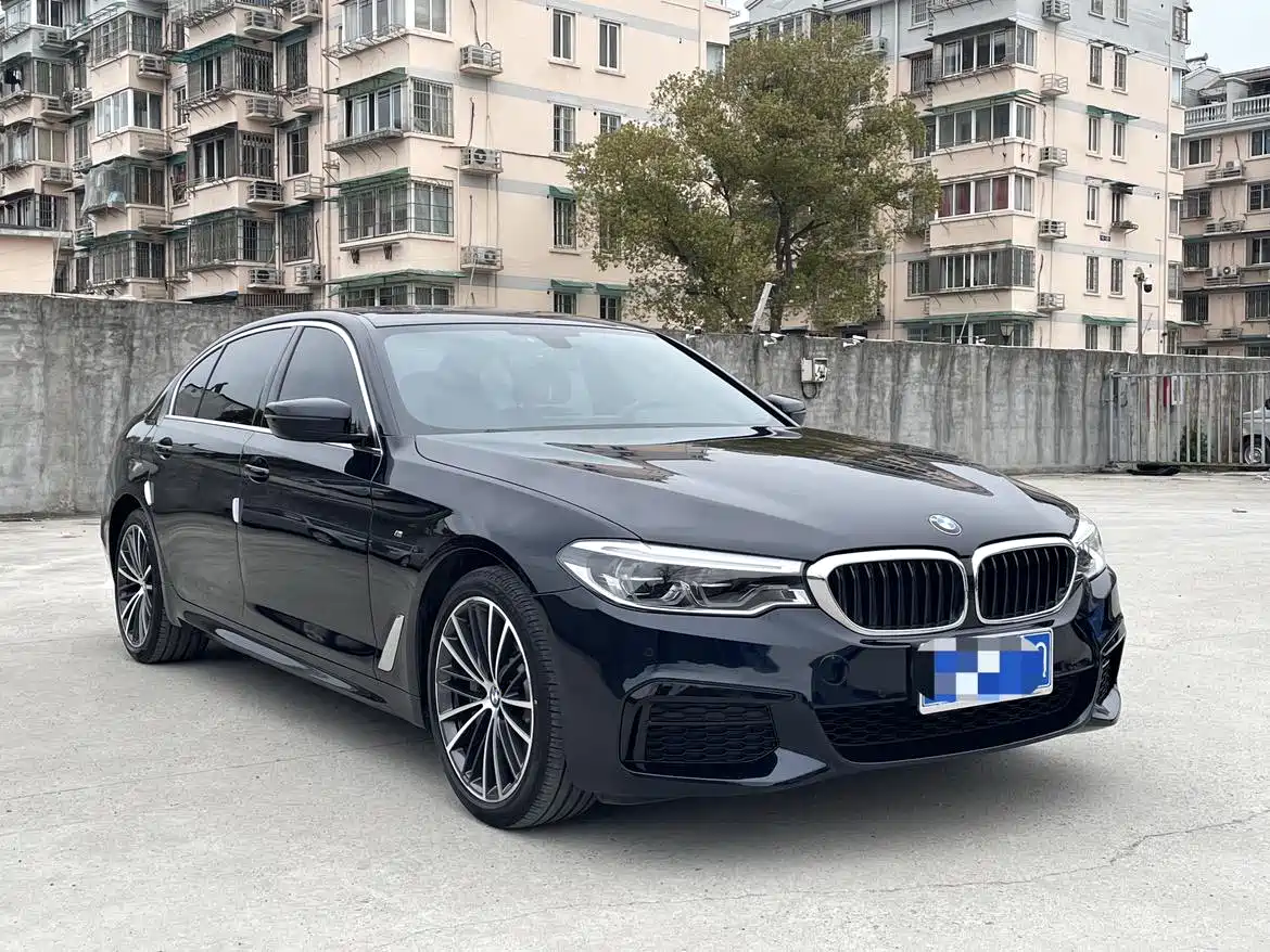 BMW 5 Series 2020 530Li Leading M Sport Package фото 3