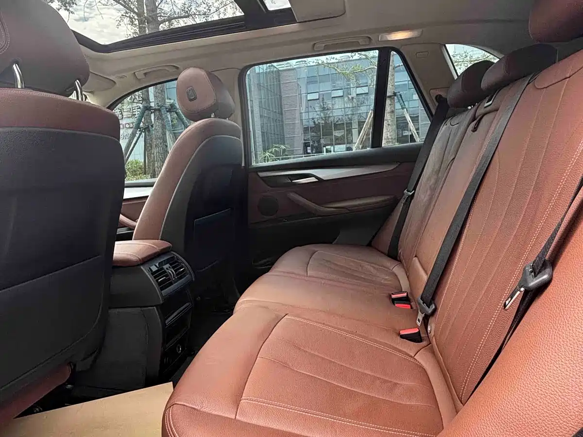 BMW X5 (Import) 2018 xDrive35i Elegant Model фото 8