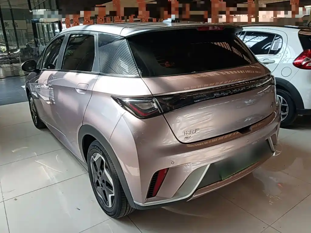 BYD Dolphin 2022 2021 Model 405km Fashion Edition