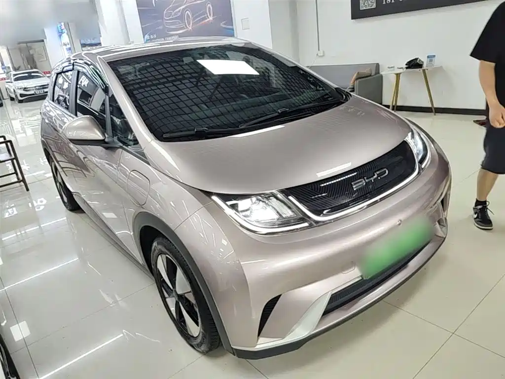 BYD Dolphin 2023 420km Freedom Edition фото 22