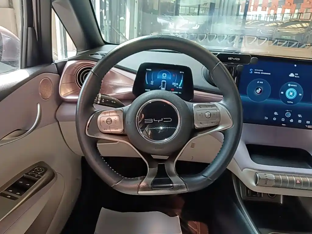 BYD Dolphin 2022 2021 Model 405km Fashion Edition