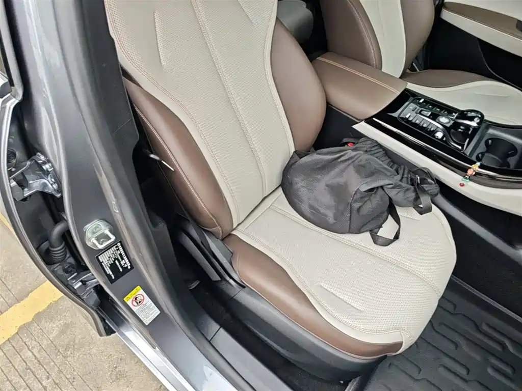 BYD Qin PLUS 2024 Glory Edition DM-i 55KM Leading фото 25