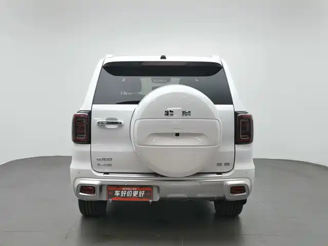 BAIC ORV Beijing Off-Road BJ60 2022 Model 2.0T 11th Edition 5-Seater — фото 4