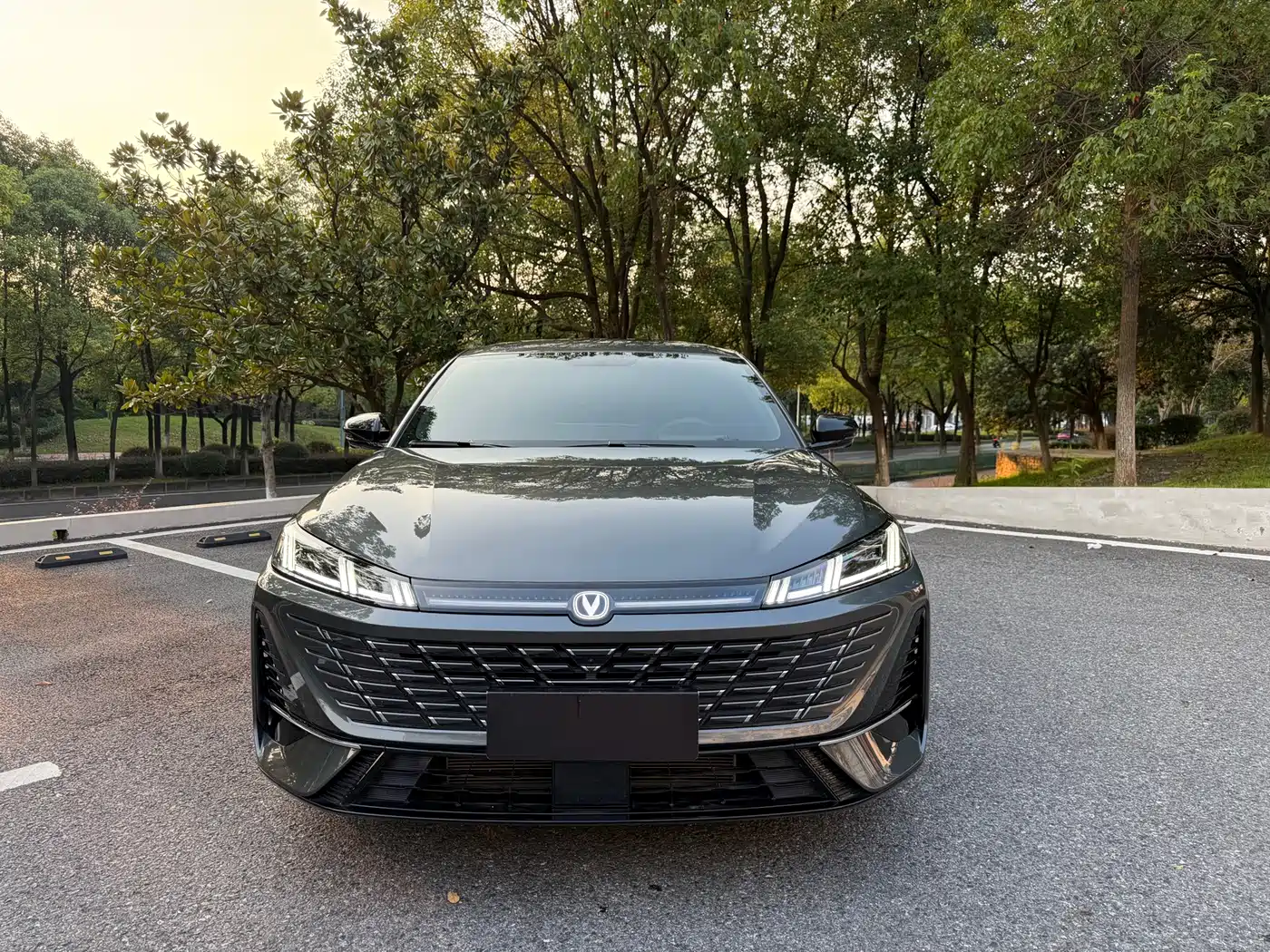 Changan Eado 2026 2025 Blue Whale 1.5T High Performance