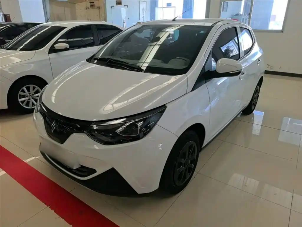 JMCG New Energy Little Kirin 2023 Model Lucky Edition 201km Comfort