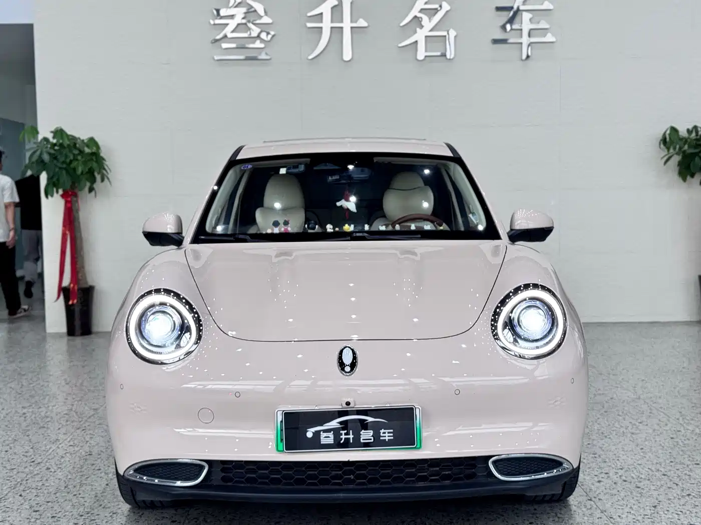 Ora Good Cat 2024 2024 401km Honor 135kW