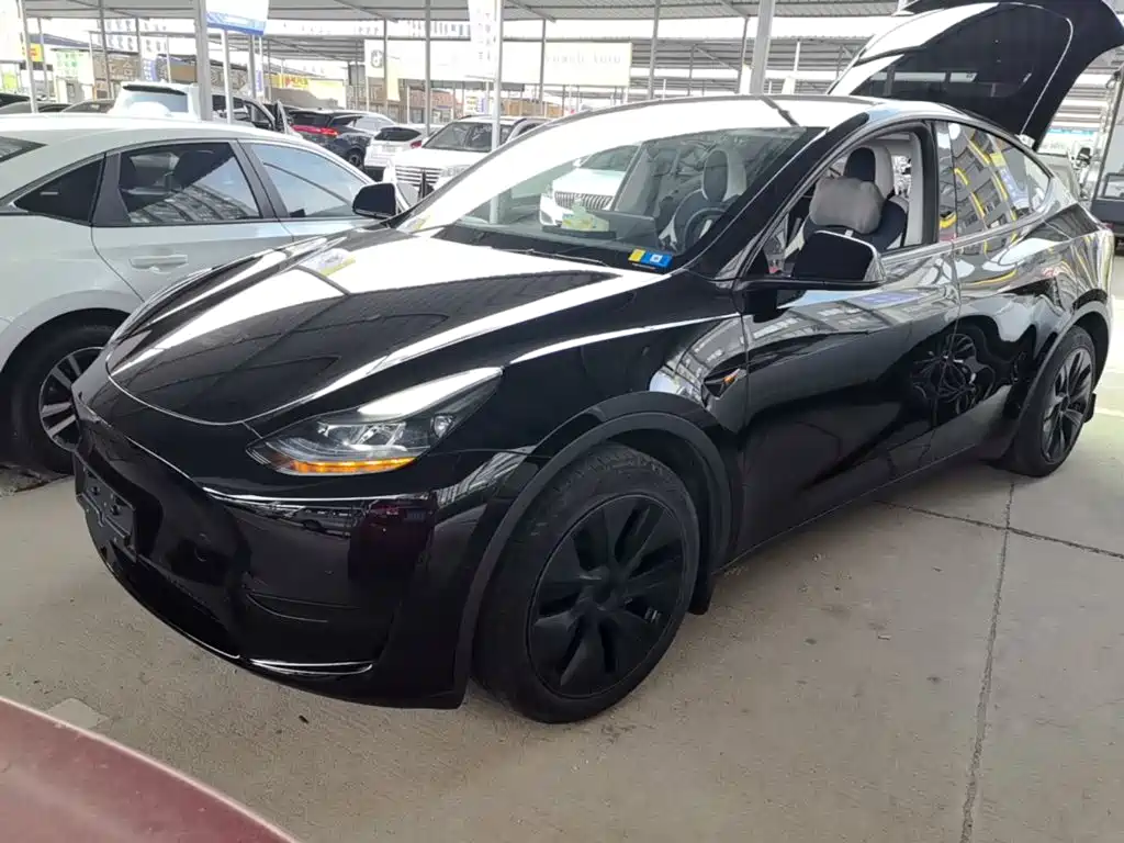 Tesla Model Y 2023 Rear-Wheel Drive Edition
