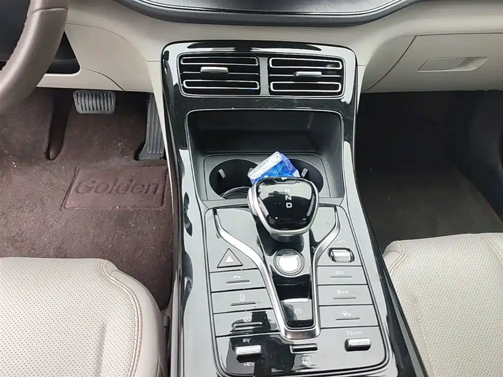 BYD Qin PLUS 2023 Champion Edition DM-i 55KM Leading фото 14