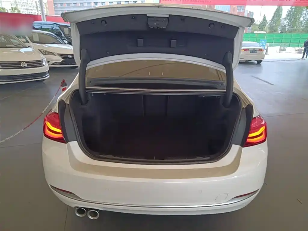 BMW 3 Series 2018 320Li Fashion Style фото 19