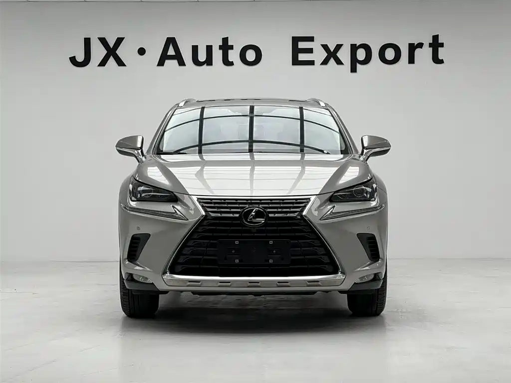 Lexus NX 2020 200 AWD F Sport China VI фото 2