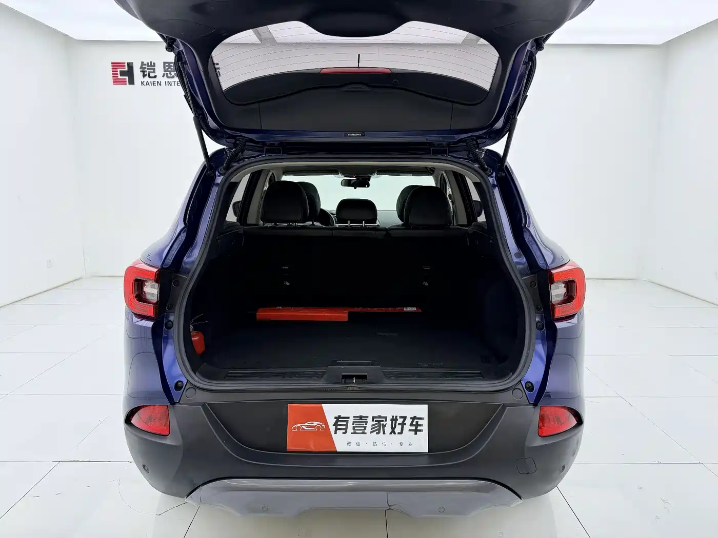 Renault Kadjar 2016 2016 2.0L 2WD Luxury Edition