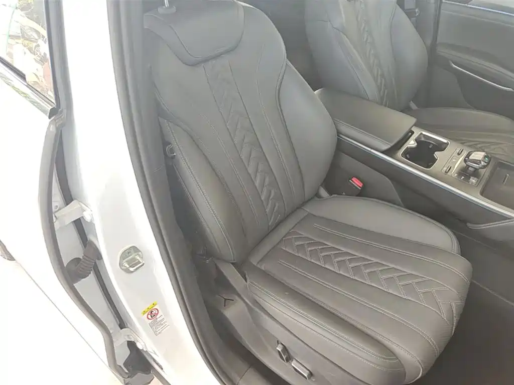 BYD Song L DM-i 2025 Smart Drive 160km Premium фото 25