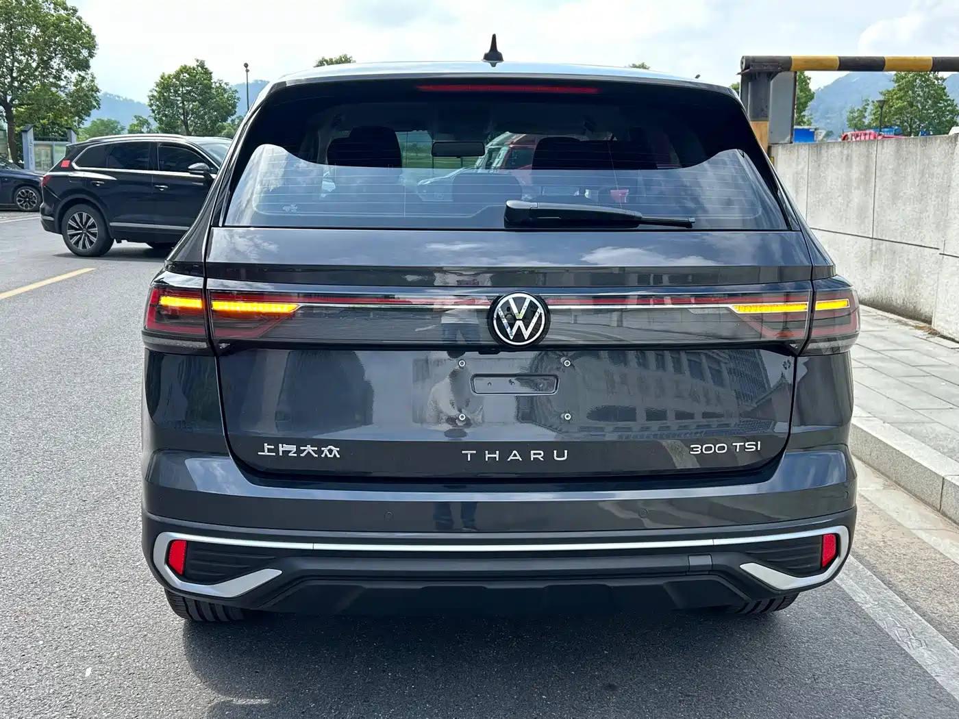 Volkswagen Tharu, миниатюра 8