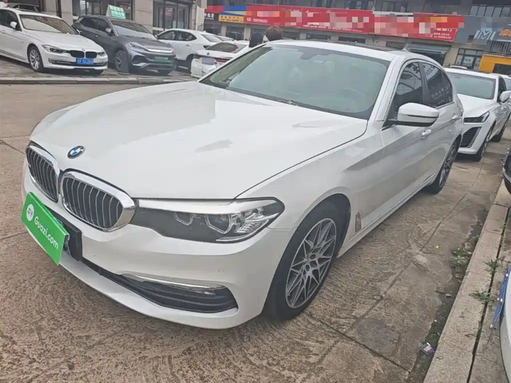 BMW 5 Series 2018 528Li Launch Special Edition фото 2