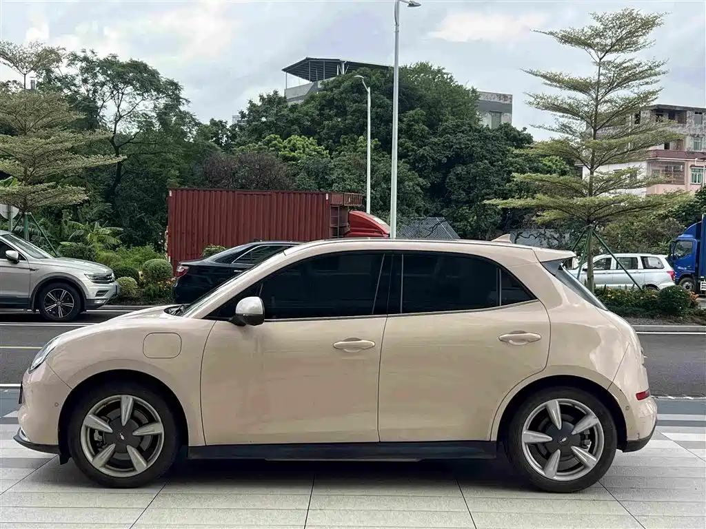 Ora Good Cat 2021 2021 400km Standard Range Athena Edition (LFP)