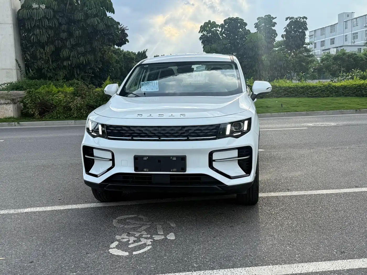 Geely Radar Radar King Kong 2025 2025 430km 2WD Standard Cargo Wealth Guardian