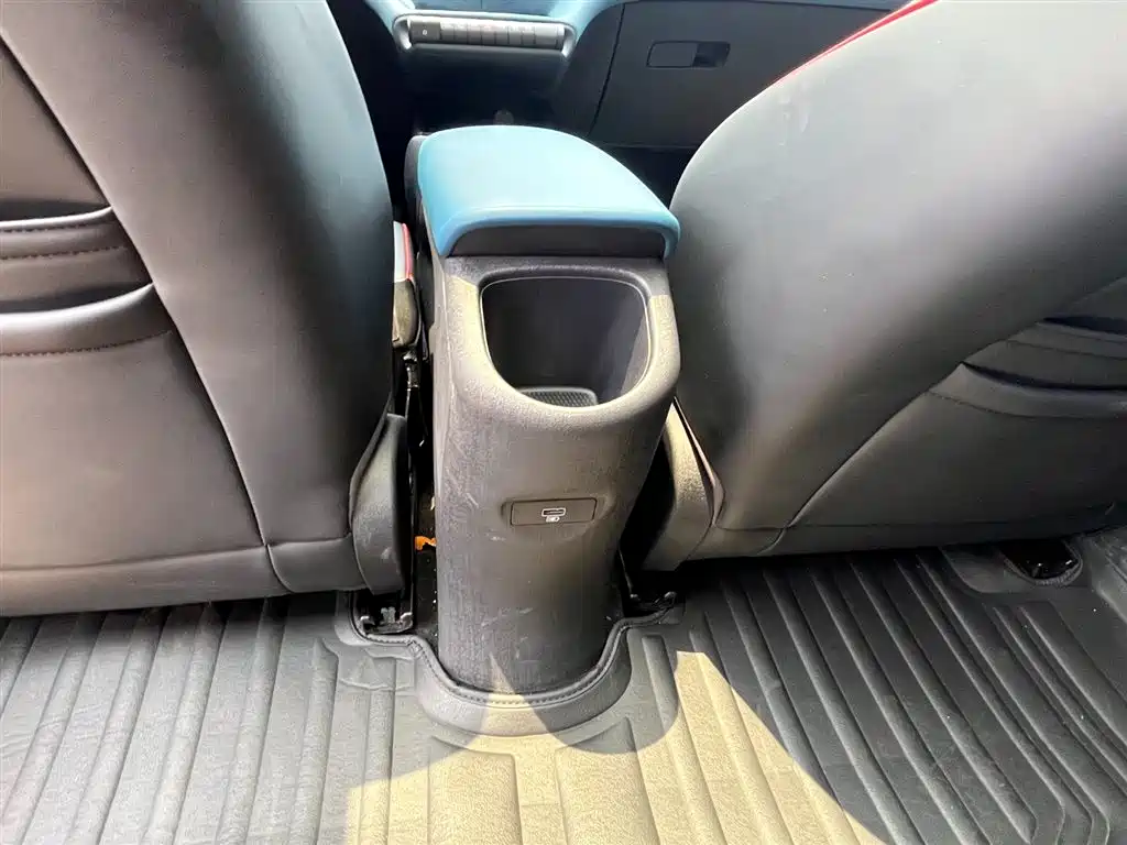 BYD Dolphin 2021 Model 405km Fashion Edition фото 18