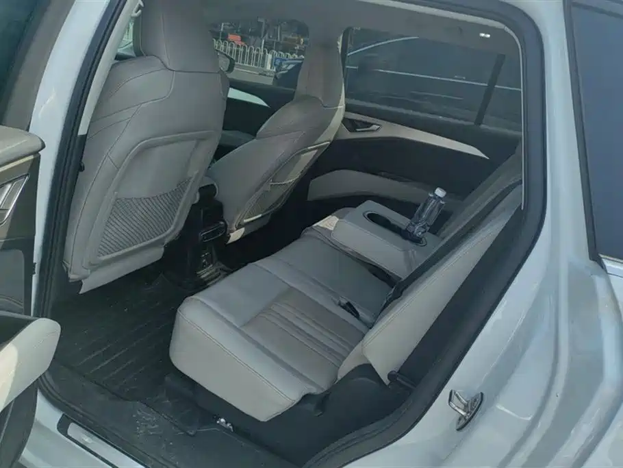 Audi Q5 e-tron 2022 40 e-tron Starlight Edition Brocade Package фото 11