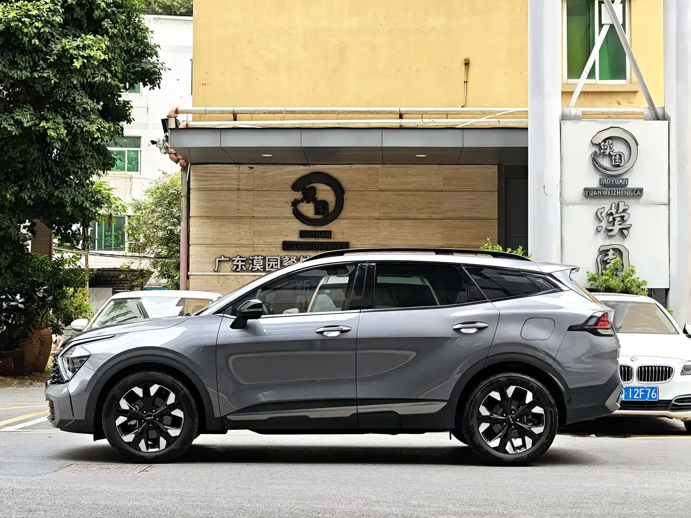 KIA LION PLATINUM EXPANDS THE WORLD