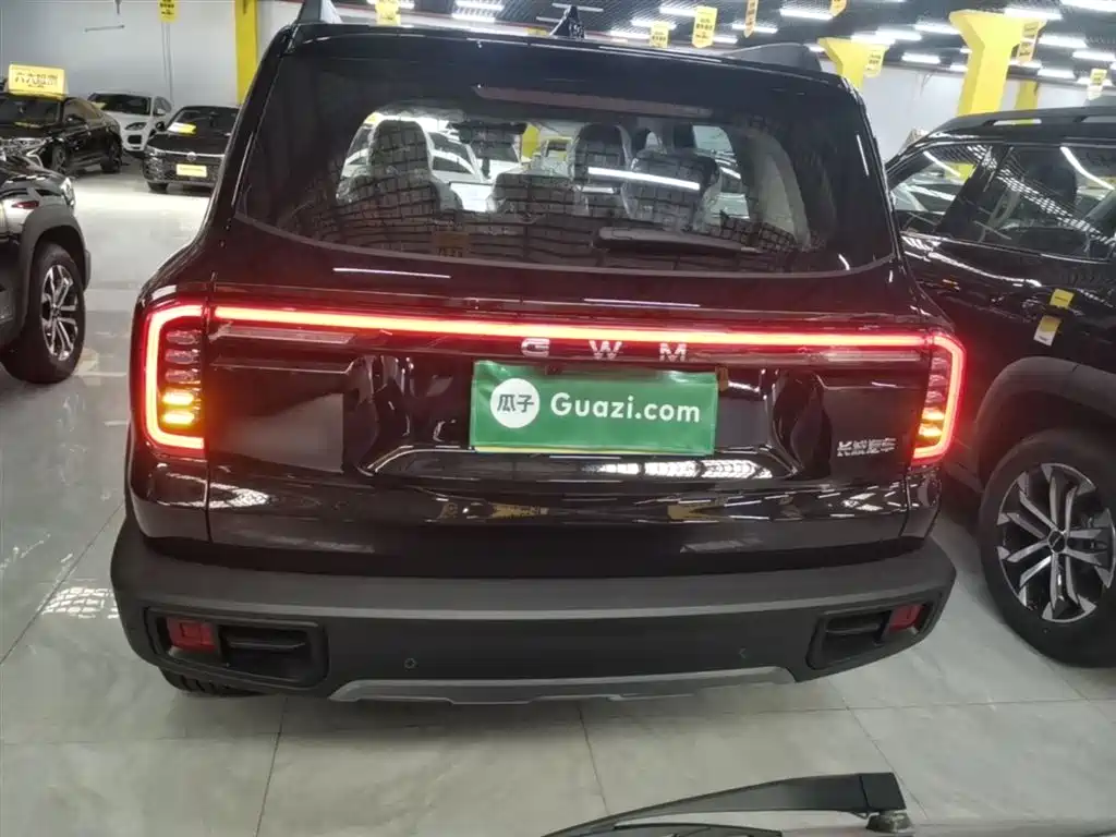 Haval Big Dog 2026 Model 1.5T Basic Configuration фото 6