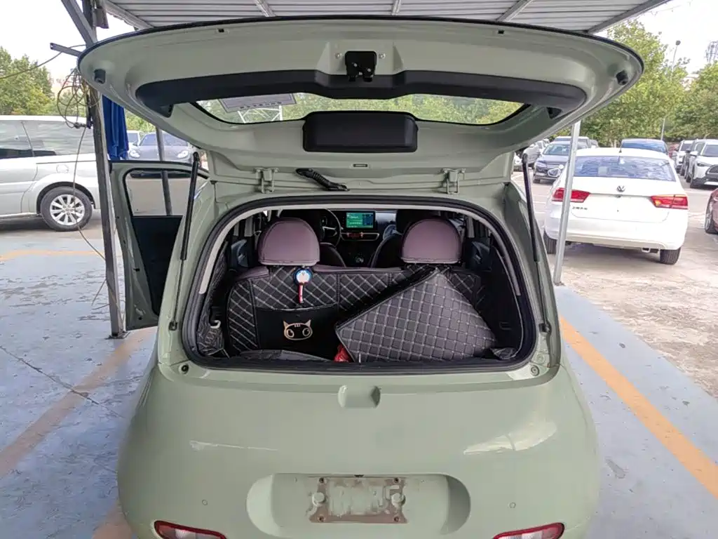 Ora White Cat 2021 2020 305km Luxury