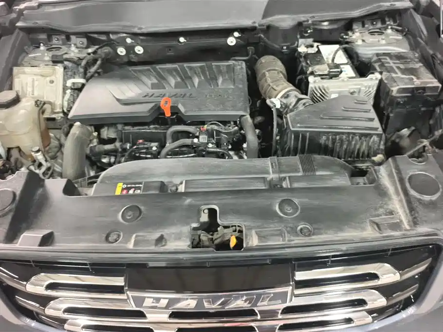 Haval Big Dog 2021 1.5T DCT 2WD Border Collie Edition фото 10