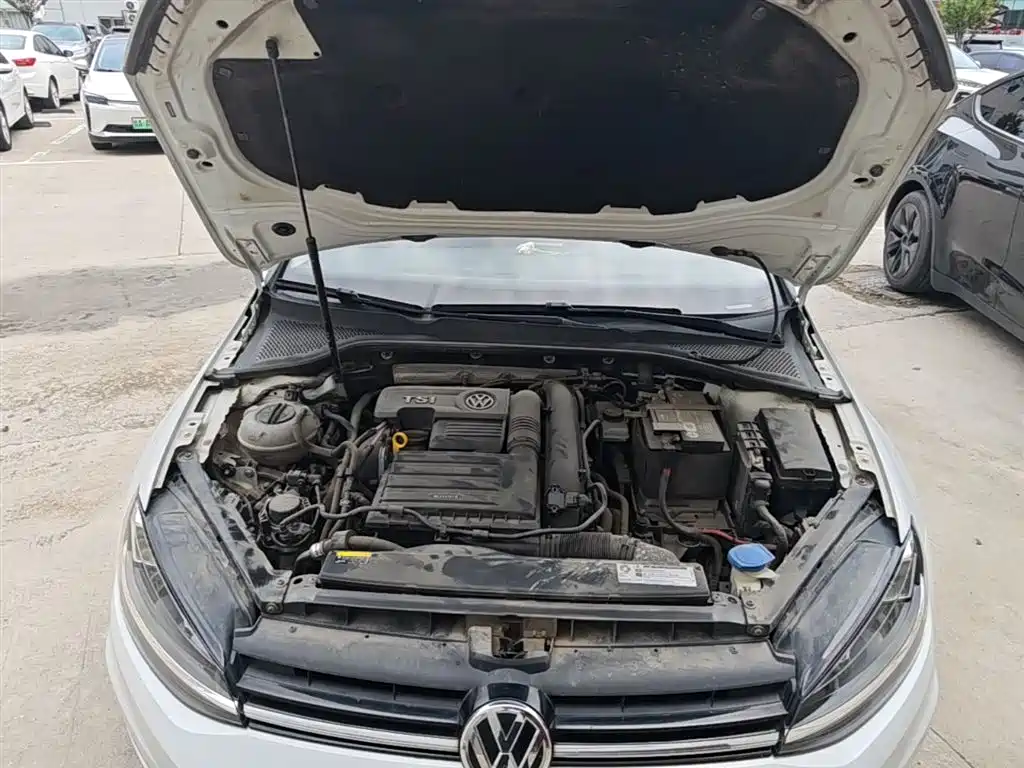 Volkswagen Golf 2019 200TSI DSG Comfort Progressive China VI фото 11