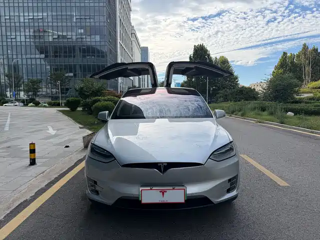 Tesla Model X 2016 Model X 75D — фото 2