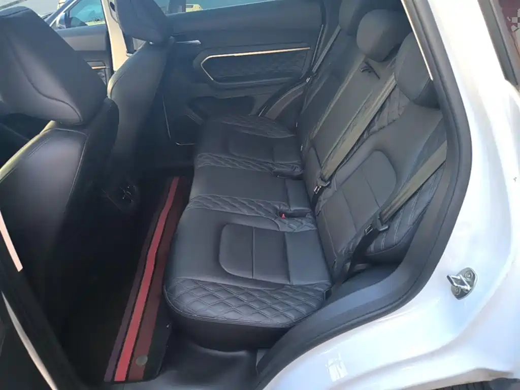 Haval H6 2020 1.5GDIT Automatic Platinum Champion Edition фото 17