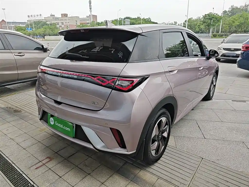 BYD Dolphin 2024 Glory Edition 420km Freedom Edition фото 7