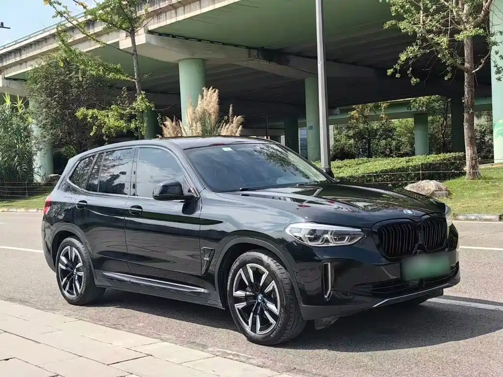 BMW iX3 2021 2021 Leading