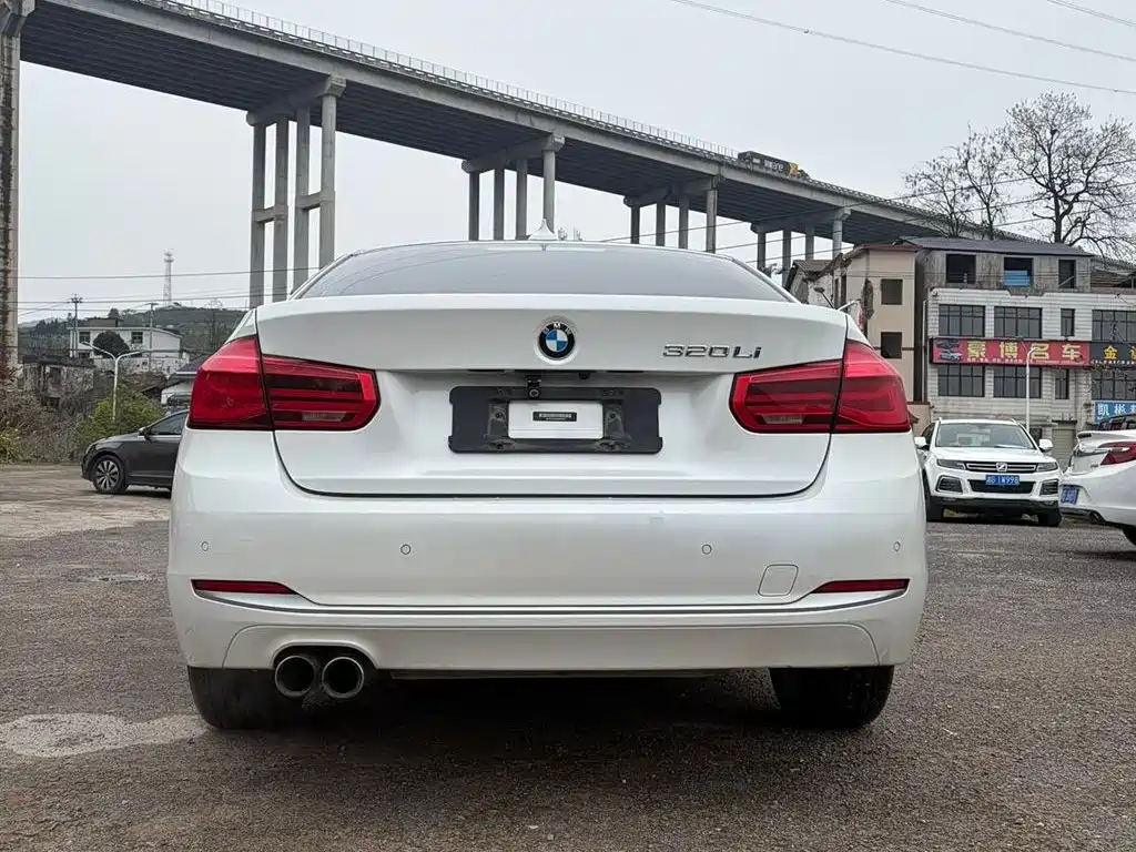 BMW 3 Series 2018 320Li Fashion Style фото 2