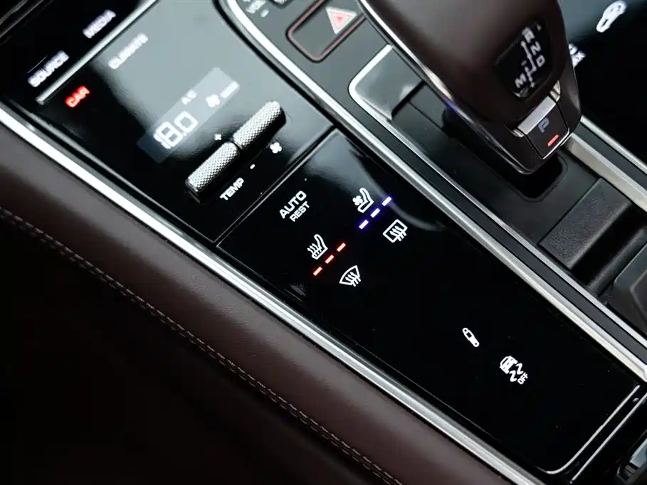 Porsche Panamera 2022 Panamera 2.9T Platinum Edition фото 24