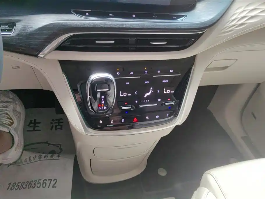 Buick GL8 2020 Avenir Seven-Seat Premium Edition фото 16