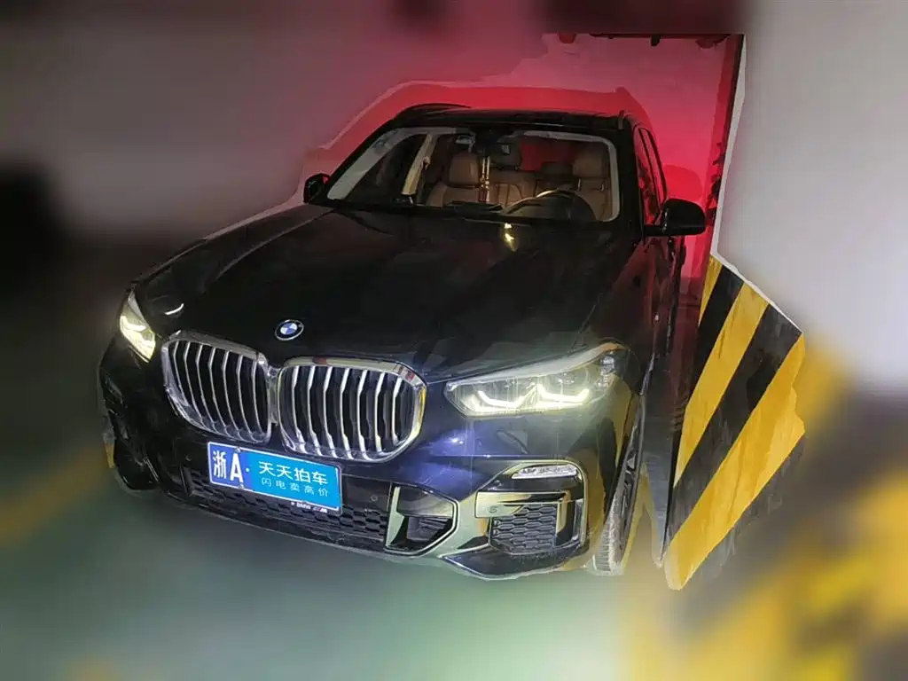BMW X5 (Import) 2019 xDrive30i M Sport Package