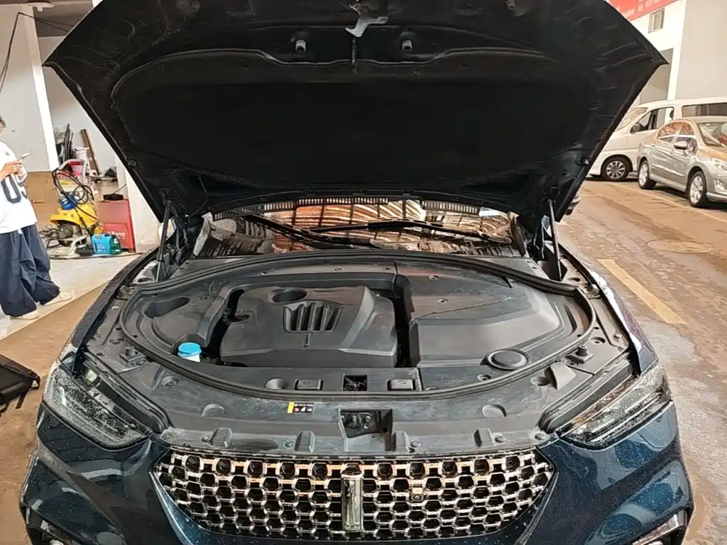 WEY VV7 2020 2020 Model 2.0T Flagship