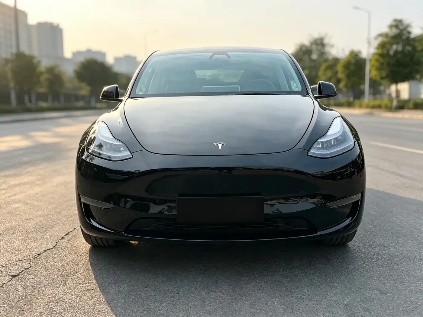 Tesla Model Y 2021 2021 Standard Range Rear-Wheel Drive