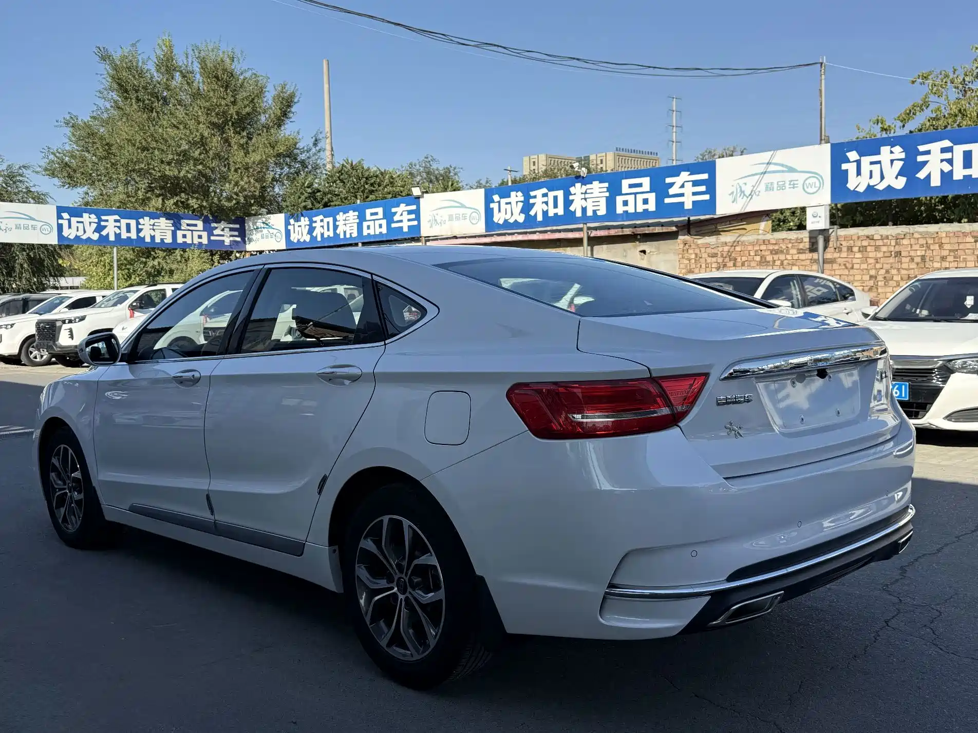 Фото 9 - Geely Borui