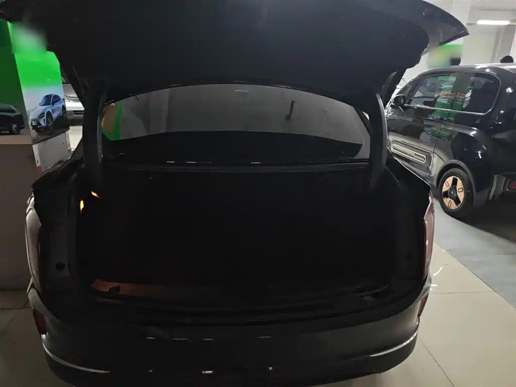 Hongqi E-QM5 2023 620km PLUS фото 12