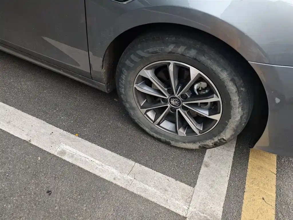 BYD Qin PLUS 2024 Glory Edition DM-i 55KM Leading фото 26
