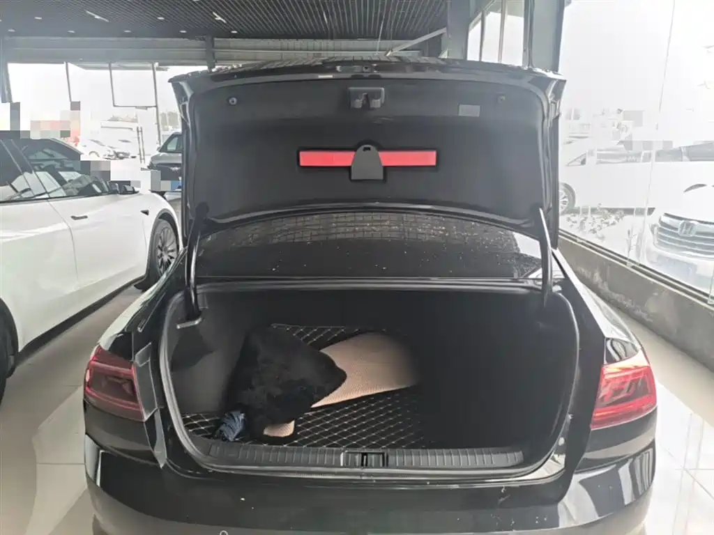 Volkswagen Magotan 2020 280TSI DSG Comfort фото 19