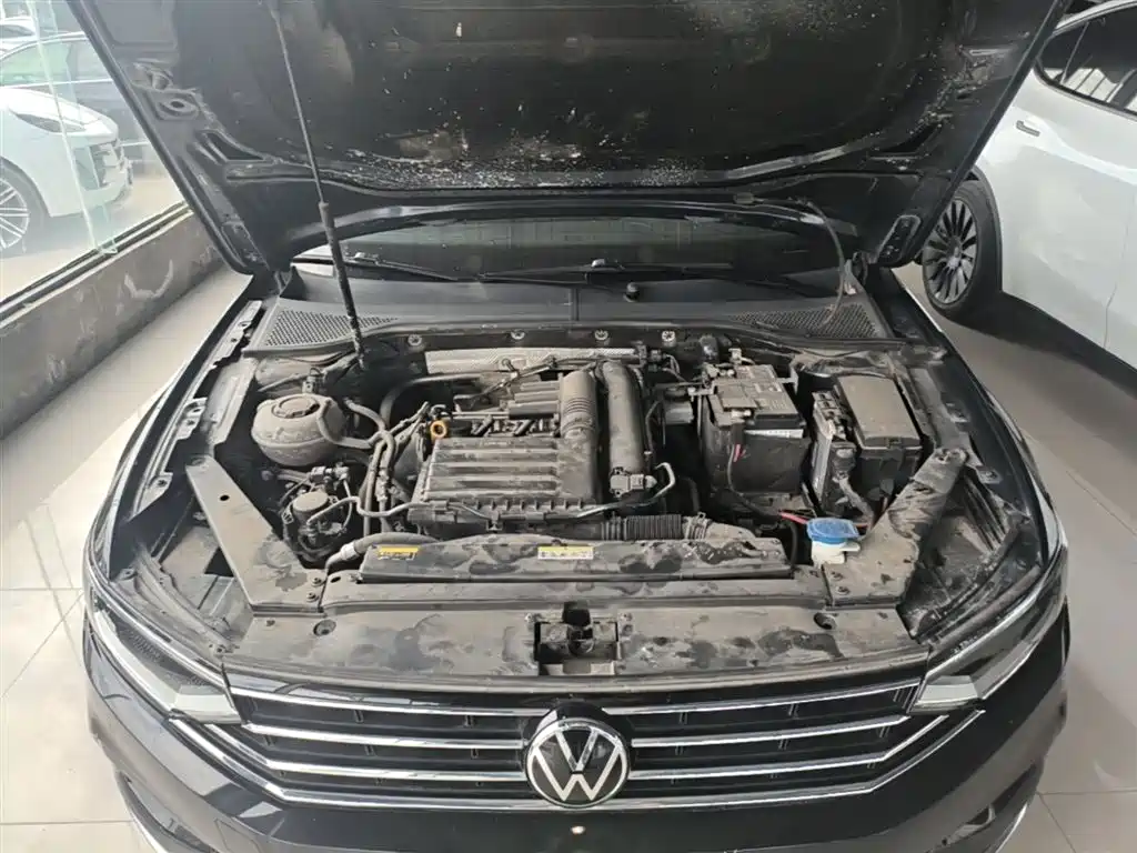 Volkswagen Magotan 2020 280TSI DSG Comfort фото 20